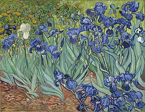 Vincent van Gogh, Iris, 1889.