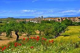 Tarroja de Segarra - Sœmeanza