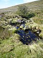 The Yealm close to its source, southern Dartmmor