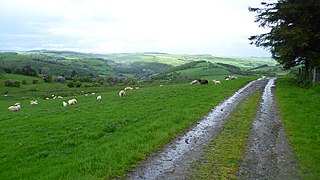 Scene from Glyndwr's Way - geograph.org.uk - 4009014.jpg