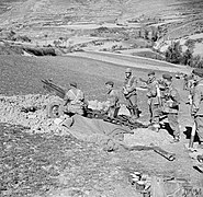 THE BRITISH ARMY IN ITALY 1943 NA8515.jpg