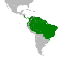 Distribuição do sanhaçu-verde