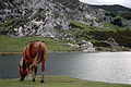 Lago Ercina