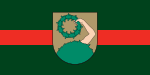 Flag of Талсі