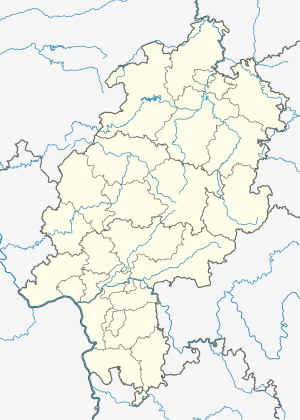 Rüsselsheim am Main (Hessen)