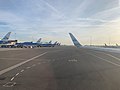 Thumbnail for File:Morning at Amsterdam Airport Schiphol 07.jpg