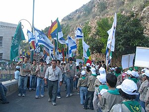 צופים דרוזים עם דגלי ישראל ודגלי העדה
