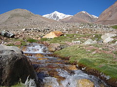 La fusión galcio-nival en los Andes, principal fuente de recursos hídricos.