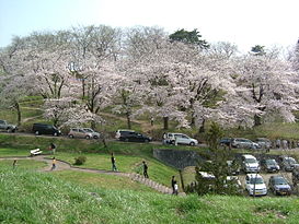Công viên Eboshiyama, thành phố Nan'yō, tỉnh Yamagata trong mùa hoa anh đào nở.