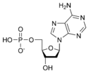 Estructura quimica de la desoxiadenosina monofosfat