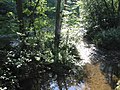 La rivière l'Homme dans son environnement naturel le long de la route de Jemelle.