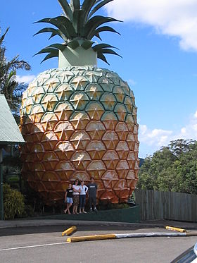 O ananás gigante de Nambour