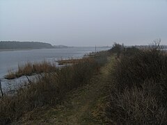 Wiedervernässter Torfstich-Polder (Menzlin, Vorpommern)