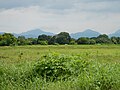 Thumbnail for Mounts Palay-Palay–Mataas-na-Gulod Protected Landscape