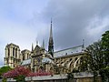 Notre-Dame de Paris au printemps