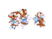 2nv5: Crystal structure of a C-terminal phosphatase domain of Rattus norvegicus ortholog of human protein tyrosine phosphatase, receptor type, D (PTPRD)