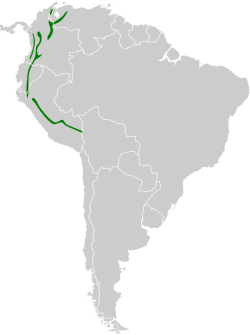 Distribución geográfica del orejerito variegado.