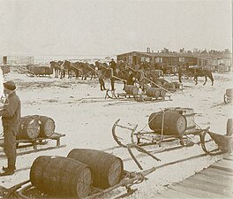 Marknad i Skibotn 1917.