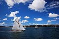 Sydneysiders skipping in Sydney Harbour