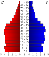 Bevolkingspiramide Scott County