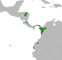      Distribución aproximada     Posiblemente extinto