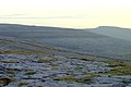 Jääkauden paljaaksi puhdistamaa kalkkikivikiveystä Irlannin Burrenissa, jonka pinta on vielä varsin sileää.