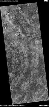 Concentric bands that may have been produced by the waves of a tsunami. Image is from HiRISE under the HiWish program.