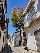 Jerez-IMG 20240519 163059.jpg