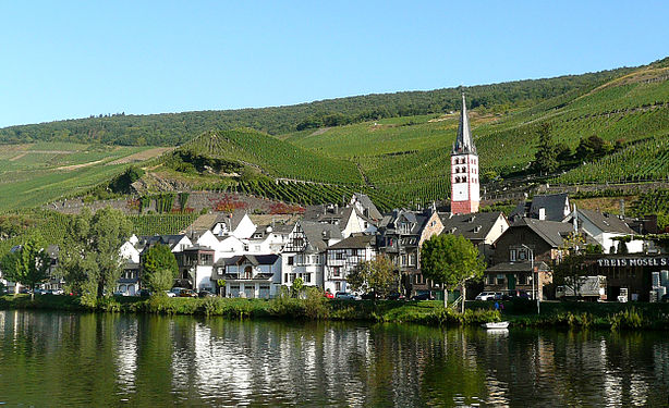 The Moselle river with the Merl village, between Bullay and Zell, km 85