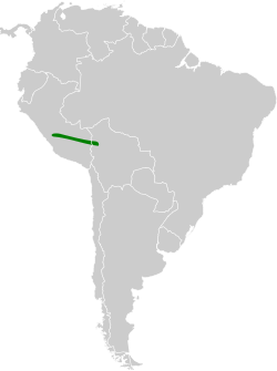 Distribución geográfica del hormiguero de Carabaya.