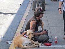 Une personne assise par terre dans la rue avec un chien.