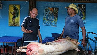 Schweinegrill in Trinidad 04.jpg