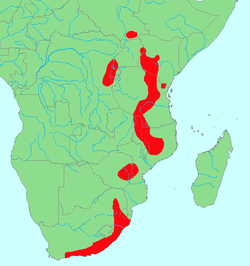 Distribución aproximada.