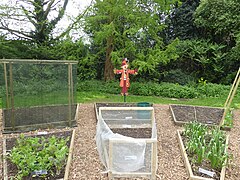 Botanical Gardens - scarecrow garden - geograph.org.uk - 6146641.jpg