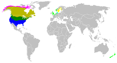 alt=Amarillo = nidificación en el verano (oscuro nativo y claro introducido). Verde = área de estancia todo el año (oscuro nativo y claro introducido). Azul = área de invernada (oscuro nativo y claro introducido). Rosa = área de reproducción.