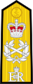 Cầu vai Đô đốc hạm đội (Admiral of the Fleet) Anh