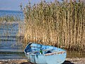 Чамец на Охридското Езеро