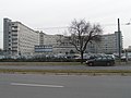 Maggiore hospital