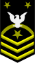 Fleet Master Chief Petty Officer