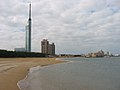 Fukuoka tower　/ 福岡タワー