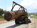 Trakk tal-qtugħ fuq il-Plateau Bolaven fin-Nofsinhar tal-Laos. Ġunju 2009