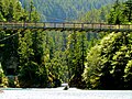 Passerelle sur le Diablo Lake Trail.