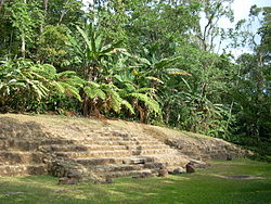 A low stairway rising to the left from a flat grassy area. The top of the stairway is blocked by thick tropical vegetation.