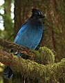 Pacific Rim National Park Reserve, British Columbia, Canada