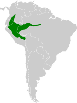 Distribución geográfica del pijuí pechioscuro.