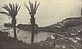 Câmara de Lobos 1 czerwca 1949 roku