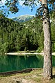 Pogled na Stol in na Završniško jezero