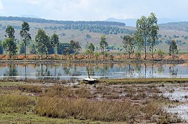 20171116 Ponds near Phonsavan, Laos 2927 DxO.jpg