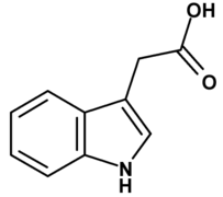 3-インドール酢酸.png