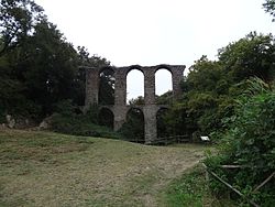 Roman aqueduct in Monterano.